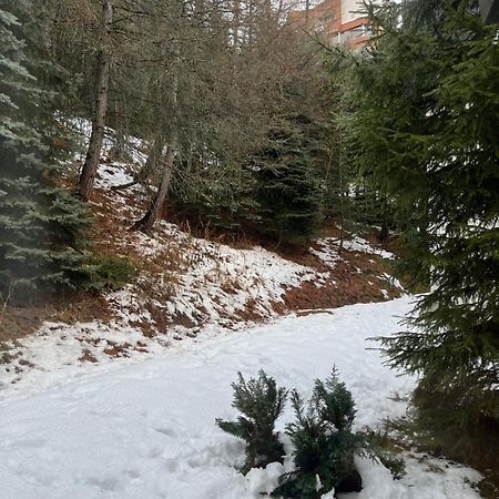 Appartement Les Menuires - 4 Personnes A 20 M Des Pistes Сен-Мартен-де-Бельвиль Экстерьер фото