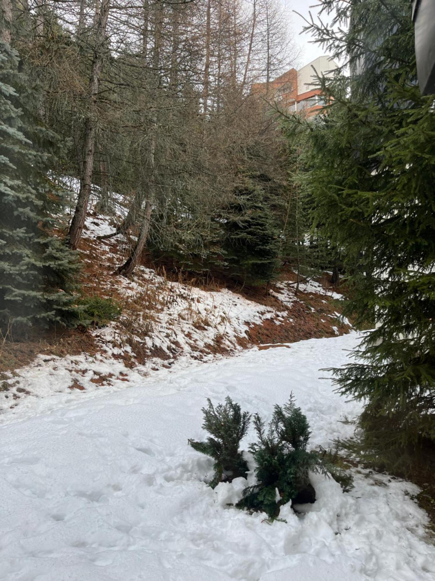 Appartement Les Menuires - 4 Personnes A 20 M Des Pistes Сен-Мартен-де-Бельвиль Экстерьер фото